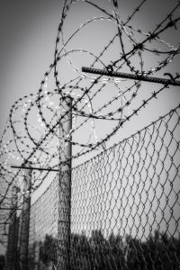 barbed wire 1463942156ZBd