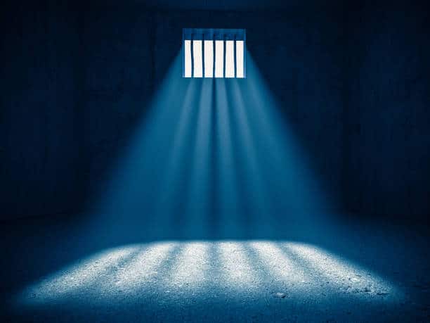 Understanding Jail Deaths Guide